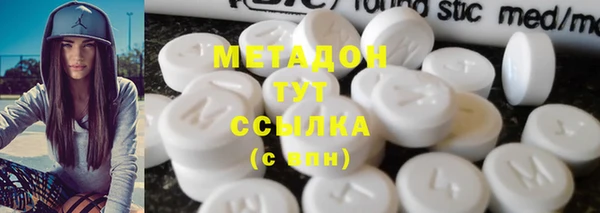 шишки Абаза