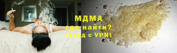 индика Алексин