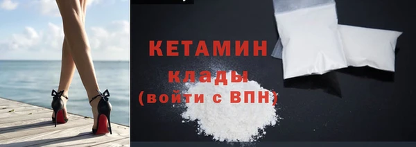 шишки Абаза