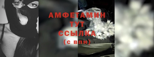 шишки Абаза