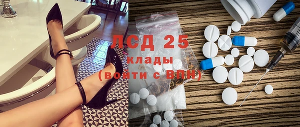 шишки Абаза