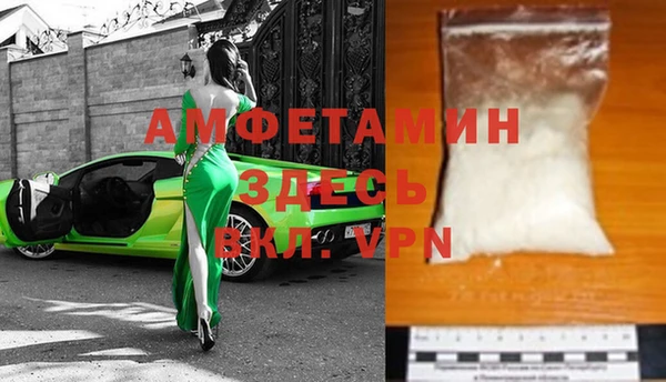 шишки Абаза