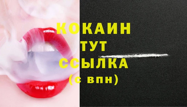тгк Абинск