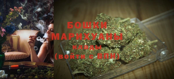 шишки Абаза