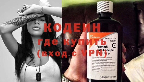 шишки Абаза