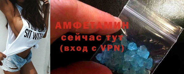 шишки Абаза