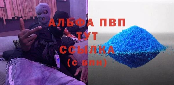 шишки Абаза